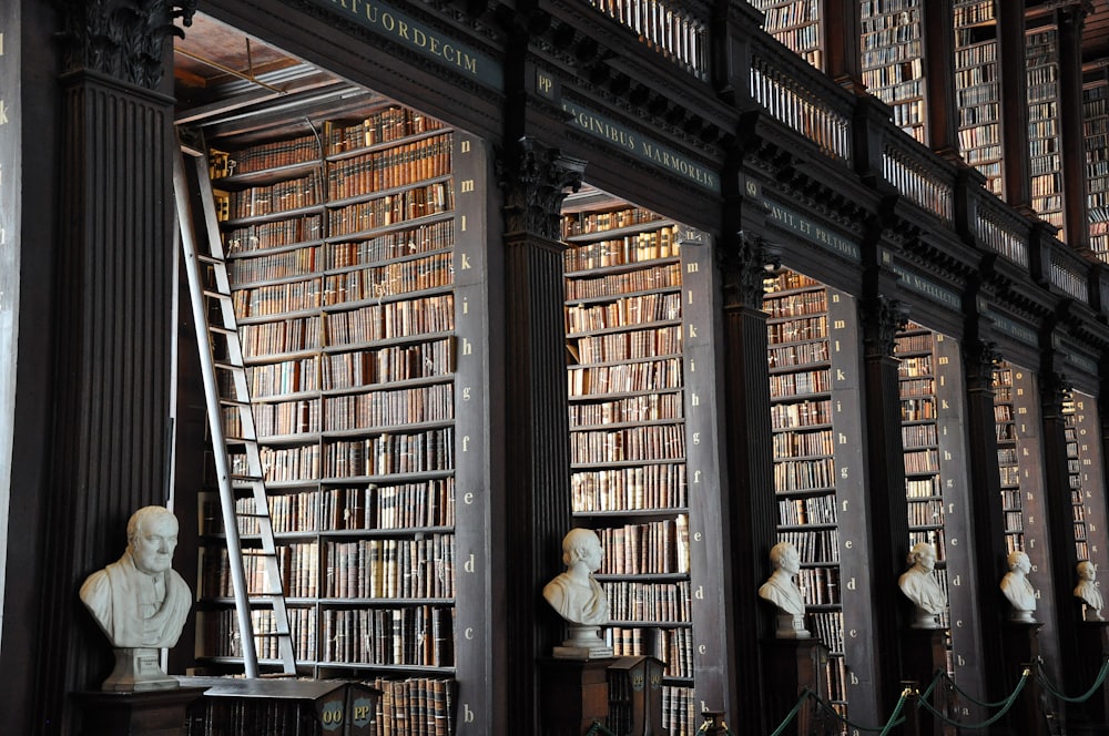 A long historic library hall lined floor to ceiling with old leather-bound books, a wooden ladder leaning against the shelves and marble busts standing between the bays
